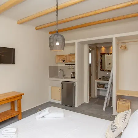 公寓 Ampelos Naxos Naxos City