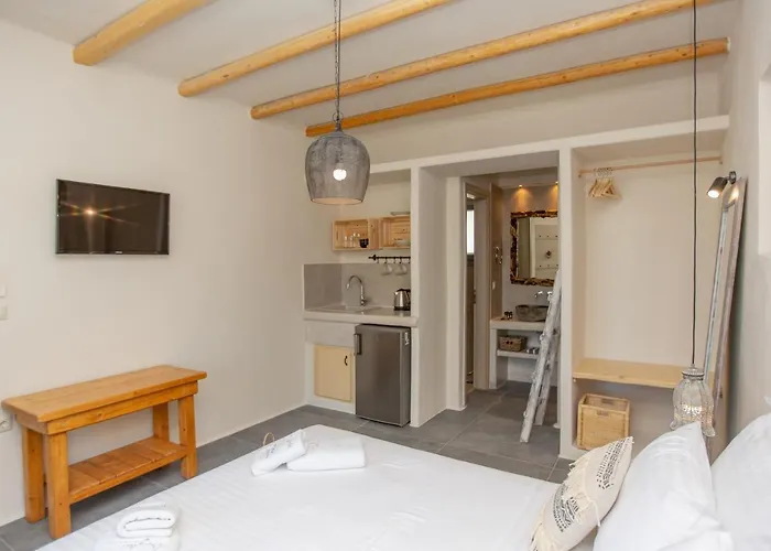 公寓 Ampelos Naxos Naxos City