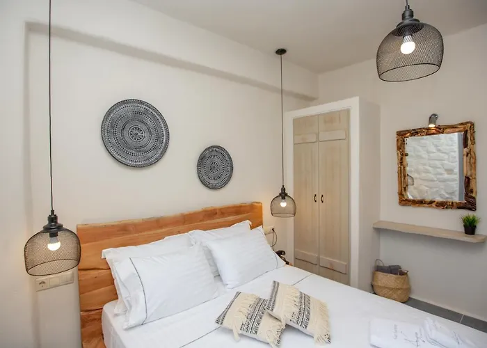 公寓 Ampelos Naxos *