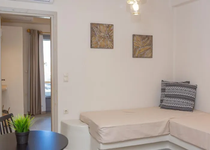 公寓 Ampelos Naxos